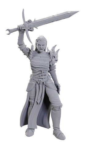 Dungeons & Dragons: Nolzur's Marvelous Unpainted Miniatures - W25 Blackguard