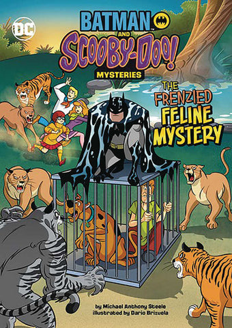 Batman Scooby Doo Mysteries Frenzied Feline Mystery
