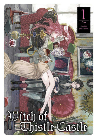 Witch Of Thistle Castle Graphic Novel