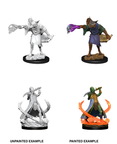 Dungeons & Dragons Nolzur's Marvelous Unpainted Miniatures: W11 Arcanaloth & Ultroloth