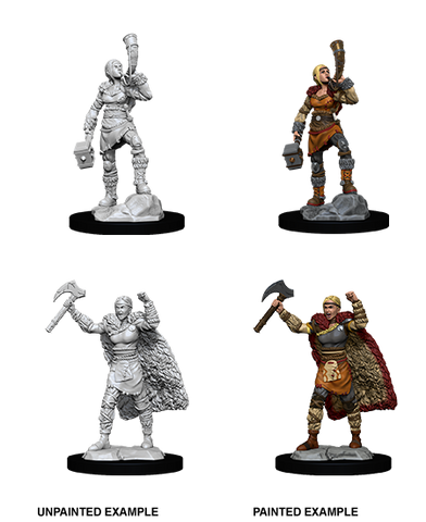 Dungeons & Dragons Nolzur's Marvelous Unpainted Miniatures: W12 Female Human Barbarian