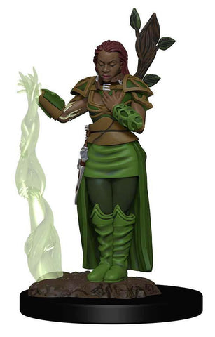 Dungeons & Dragons: Icons of the Realms Premium Miniatures - W2 - Human Female Druid
