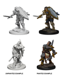 Dungeons & Dragons Nolzur's Marvelous Unpainted Miniatures: W3 Human Male Paladin