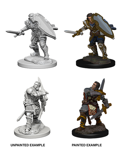 Dungeons & Dragons Nolzur's Marvelous Unpainted Miniatures: W3 Human Male Paladin