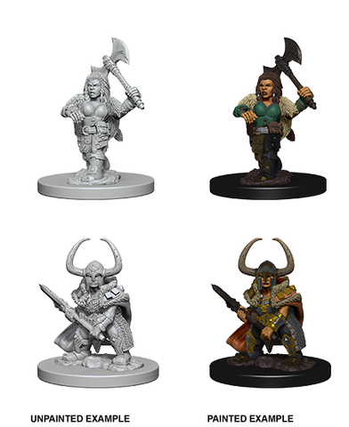 Dungeons & Dragons Nolzur's Marvelous Unpainted Miniatures: W4 Dwarf Female Barbarian