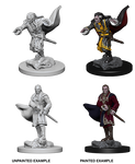 Dungeons & Dragons Nolzur's Marvelous Unpainted Miniatures: W1 Vampires