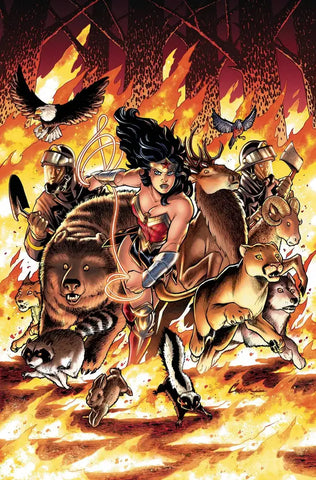 Wonder Woman Come Back to Me TPB