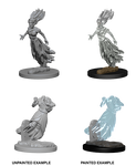 Dungeons & Dragons Nolzur's Marvelous Unpainted Miniatures: W1 Ghost & Banshee