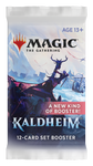 Magic: the Gathering - Kaldheim Set Booster