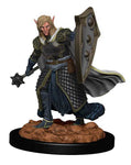 Dungeons & Dragons: Icons of the Realms Premium Miniatures - W2 - Elf Male Cleric