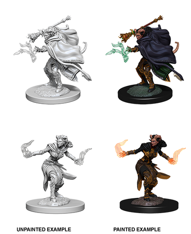 Dungeons & Dragons Nolzur's Marvelous Unpainted Miniatures: W6 Female Tiefling Warlock
