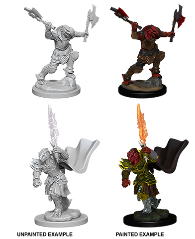 Dungeons & Dragons Nolzur's Marvelous Unpainted Miniatures: W4 Dragonborn Female Fighter