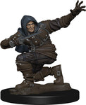 Pathfinder Battles: Premium Painted Figure - W1