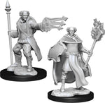 Dungeons & Dragons Nolzur's Marvelous Unpainted Miniatures: W13 Multiclass Cleric + Wizard Male